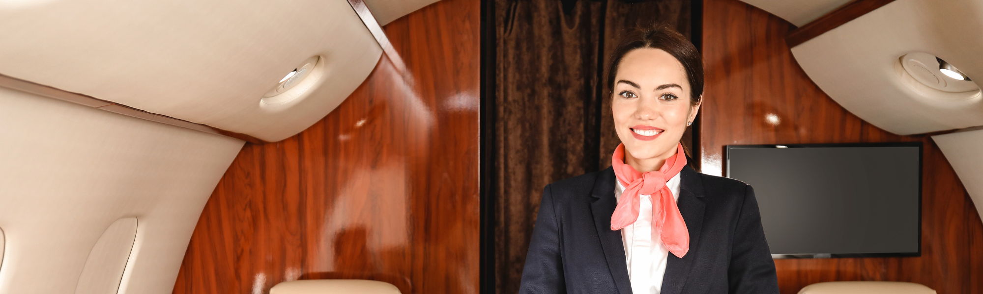 VVIP Flight Attendants - Top People in Deamnd in Aviation and Airlines - GOOSE Recruitment