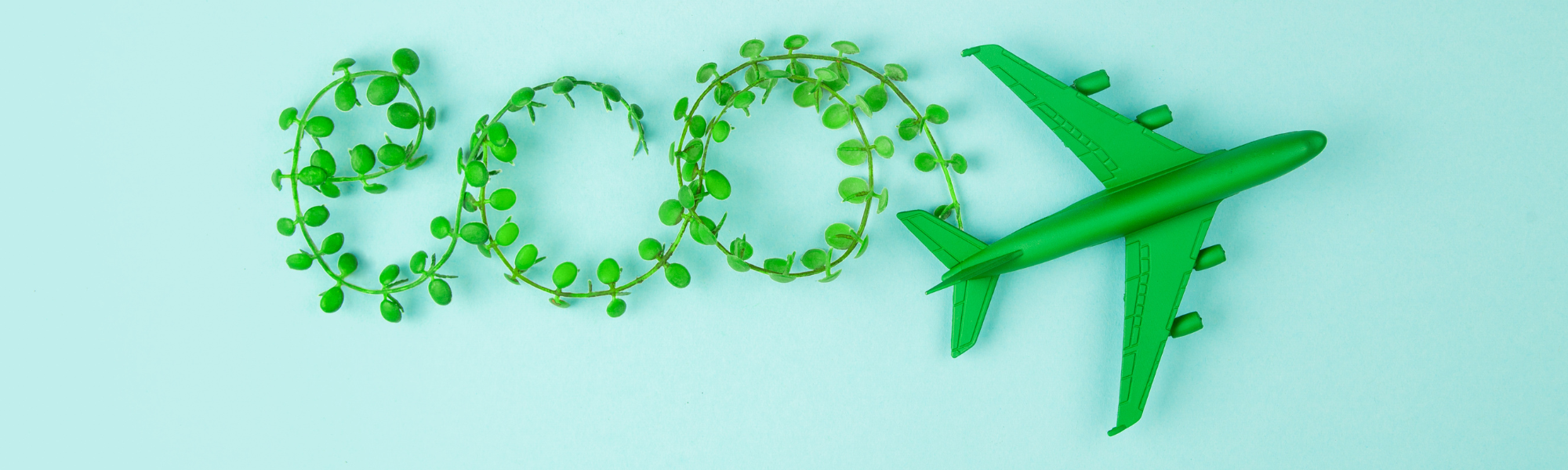 Sustainability Managers - Top People in Demand in Aviation and Airlines - GOOSE Recruitment